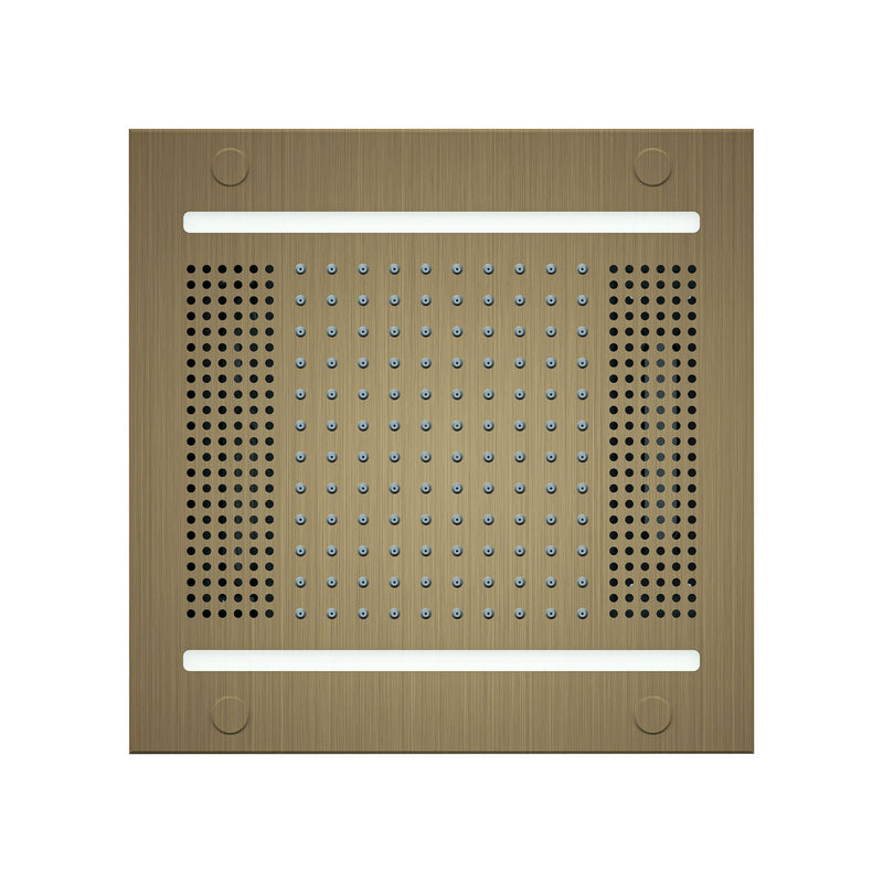 HydroVive 14 Rainhead — HVLSR14-AB