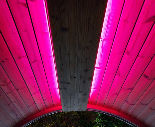 SaunaLife E-Mood - barrel ceiling illuminated fuchsia