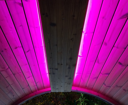 SaunaLife E-Mood - barrel ceiling illuminated violet