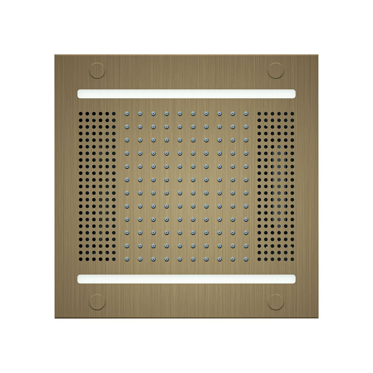 HydroVive 14 Rainhead — HVLSR14-AB